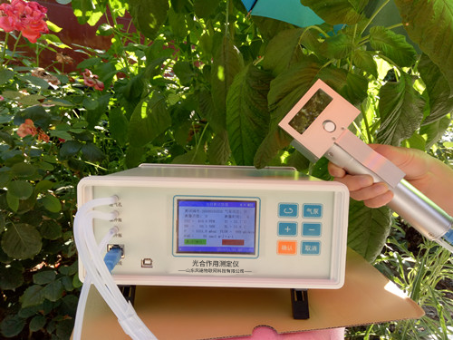 植物氣孔針有何應(yīng)用？