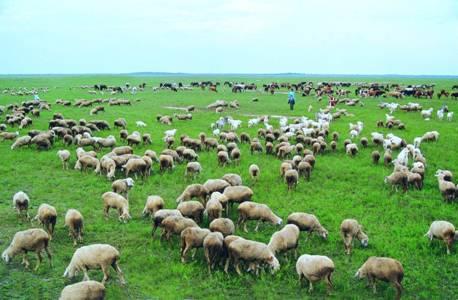 草原生態(tài)氣象站廠(chǎng)家