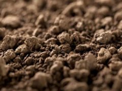 土壤養(yǎng)分檢測儀價格是多少？